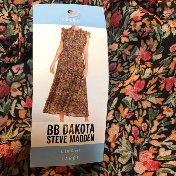 Steve Madden BB Dakota Women's Dreamy Dress - Mini Length Dreamscape Print, Size Medium